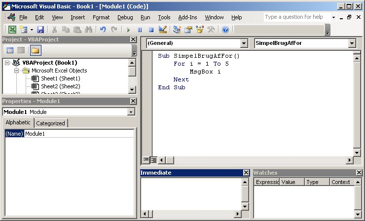 Excel VBA kursus - VBA makro der viser brug af for - fjernundervisning