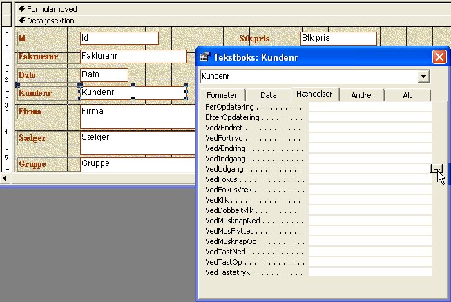 Access VBA kursus Validering